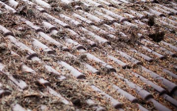 Caledon roof cleaning companies